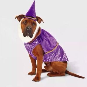 2pc Dog Wizard Costume Purple Velvet Hat Beard Size M Halloween